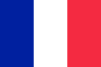  Flag of Martinique  French Flag 
